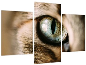 Tablou - Ochi de pisică (90x60 cm)
