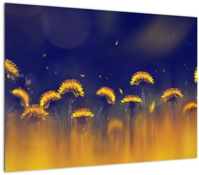 Tablou pe sticlă - Păpădii (70x50 cm)