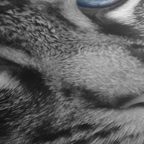 Tablou cu pisica (70x50 cm)