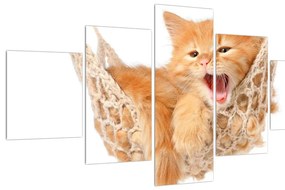 Tablou cu pisica în plasă (125x70 cm), în 40 de alte dimensiuni noi