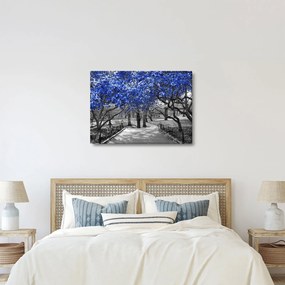 Tablou - Copaci albaștri Central Park, New York (70x50 cm)