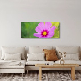 Tablou - floare de câmp (120x50 cm)