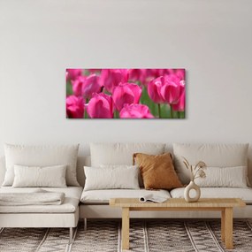 Tablou - Lalele roz (120x50 cm)