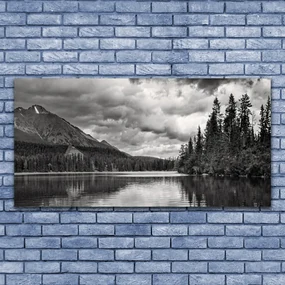 Tablou pe panza canvas Mountain Forest Lake Nature Gray