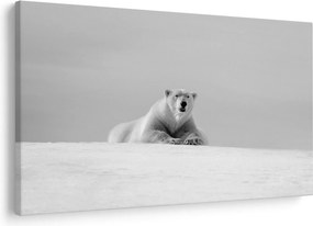 Tablou - Ursul polar (90x60 cm)