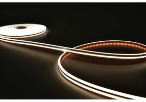 Rabalux 79021 - Bandă LED RGBW dimabilă STRIP LED/21W/230V 5 m IP67 + DO