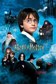 Poster Harry Potter - Piatra Filozofală, (61 x 91.5 cm)