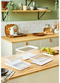 Organizator de frigider din plastic Cauma – Rotho