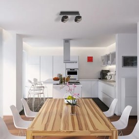 Lampă spot LOGAN 2xE14/40W/230V