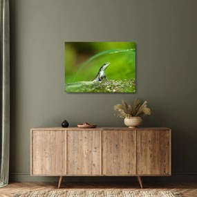 Tablou pe sticlă cu șopârlă (70x50 cm)