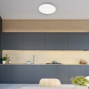 LED Plafonieră dimmabilă CRUZ cu telecomandă 1xLED/66W/230V 3300lm