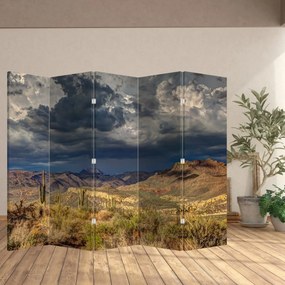 Paravan - Cactușii în natură (210x170 cm)