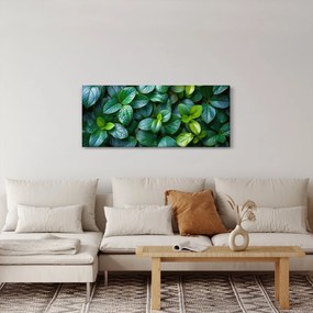 Tablou - Plante verzi (120x50 cm)