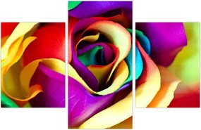 Tablou - Trandafir colorat (90x60 cm)