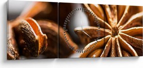 Tablou - Anason (cu ceas) (90x30 cm)