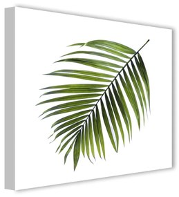 Tablou Styler Canvas Greenery Black Palm, 32 x 32 cm