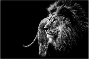 Tablou - Leu (90x60 cm)