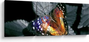 Tablou cu fluture (cu ceas) (90x30 cm)