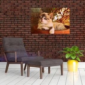 Tablou cu pisica în ghiveci (90x60 cm)
