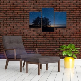 Tablou cu copaci noapte (90x60 cm)