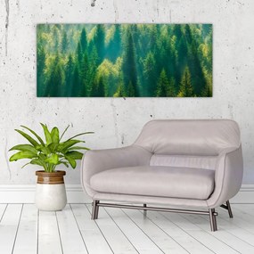 Tablou - Pădurea de brazi (120x50 cm)