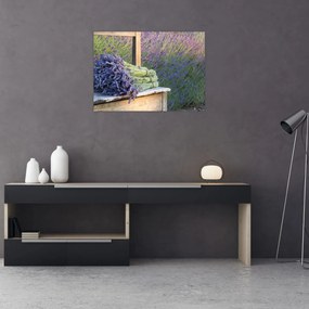 Tablou pe sticlă - Buchețele de lavandă (70x50 cm)