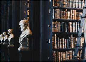 Tablou - La bibliotecă (70x50 cm)