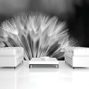 Fototapet - Păpădie (152,5x104 cm)