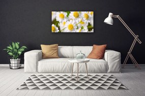 Tablou pe panza canvas Daisy Floral Galben Alb