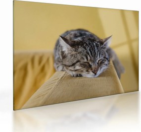 Tablou pe sticlă cu pisica pe fotoliu (70x50 cm)