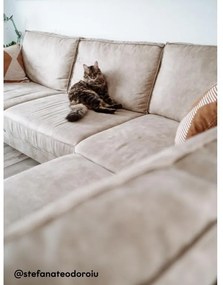 Coltar Culoare Maro Deschis, MICA Varianta de colt: Colt Stanga