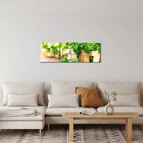 Tablou cu menta proaspătă (cu ceas) (90x30 cm)