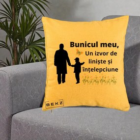Cadou pentru Bunic - Perna Personalizata Bunicul Meu Izvor de Liniste cu Fluture si Baietel, 40x40 cm, Galben, Husa Detasabila, Perna Inclusa, BEKZ®