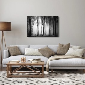 Tablou - Lup în pădurea întunecată (90x60 cm)