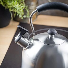 Ceainic cu fluier Kinghoff KH 1859, 2.5 l, Inducтie, Mаner din lemn, Inox