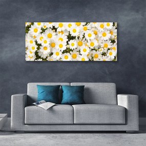 Tablou pe panza canvas Daisy Floral Galben Alb