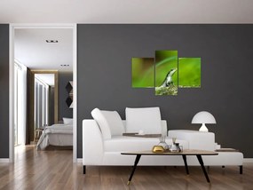 Tablou cu șopârlă (90x60 cm)