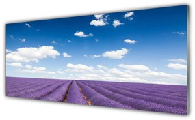 Tablou pe sticla Flori Meadow Natura Purple