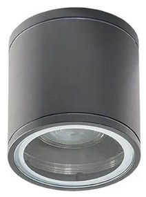 Spot aplicat iluminat exterior IP54 JOE TUBE gri inchis ZZ AZ3313