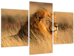 Tablou - Parcul Național Etosha (90x60 cm)