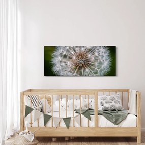 Tablou cu păpădie (120x50 cm)