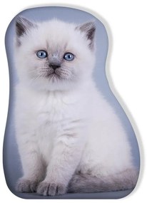 Pisică pernă decorativă, pernă de formă 33*36 cm