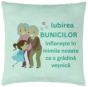 Perna Decorativa pentru Bunici 6, 40x40 cm, Verde Menta, Husa Detasabila, Burduf