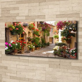 Print pe canvas Stradă fermecătoare