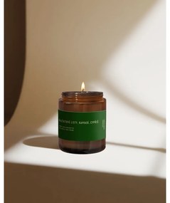 Lumânare parfumată din ceară de soia #80 Tomato Leaf, Cypress, Fern – Perfumed Prague