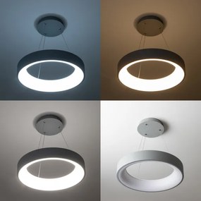 Lustră LED pe cablu dimabilă LED/40W/230V 3000-6500K gri Brilagi + telecomandă