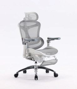 Scaun Ergonomic SIHOO C300, Suport Lombar Inteligent, Tetieră 3D, Cotiere 5D, Șezut Glisant, Spătar Reglabil pe Înălțime, Suport pentru Picioare, Mesh, Gri