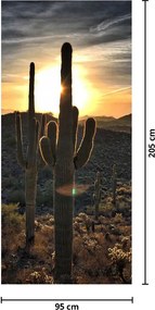 Fototapet pentru ușă - Cactuși la soare (95x205cm)