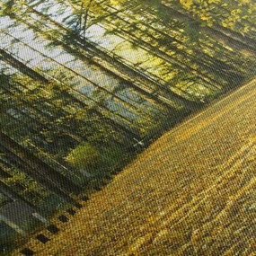 Tablou - pădurea toamna (120x50 cm)