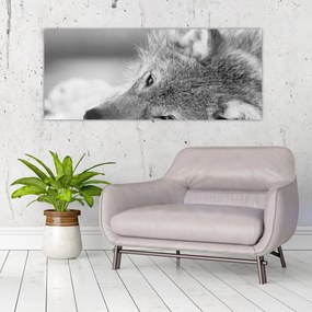 Tablou - Lup,alb-negru (120x50 cm)